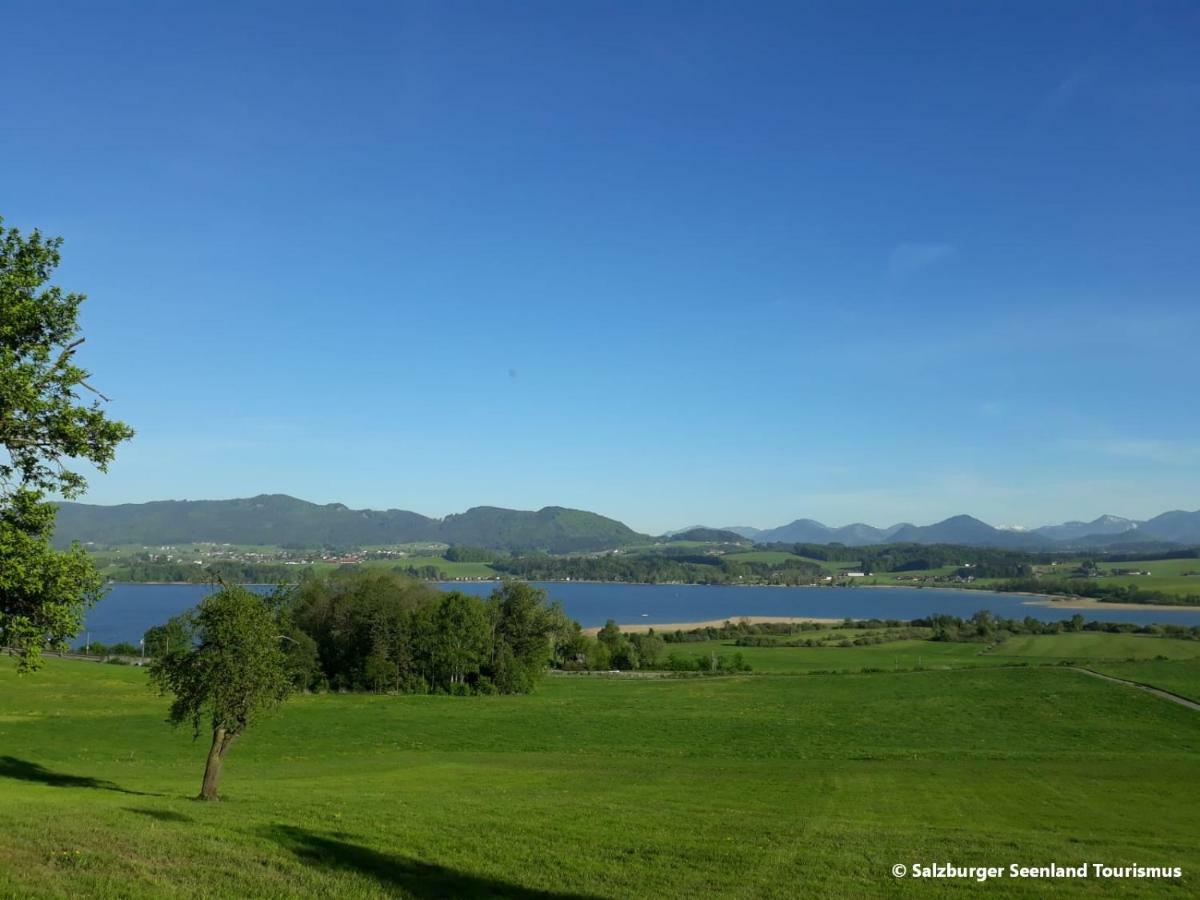 Pp-Camping Wallersee Seekirchen am Wallersee Ngoại thất bức ảnh