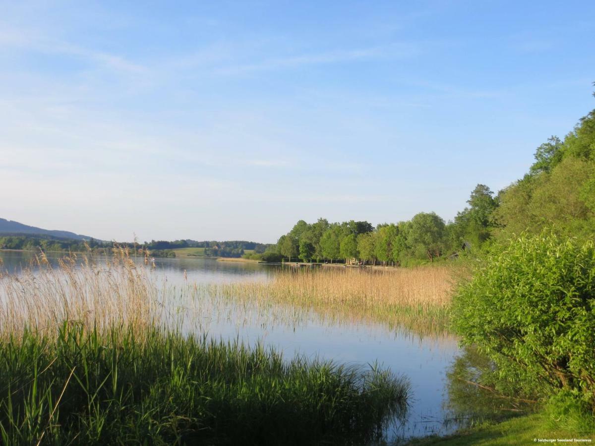 Pp-Camping Wallersee Seekirchen am Wallersee Ngoại thất bức ảnh